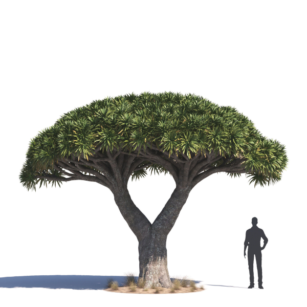 Archmodels vol 276 for 3dsmax - desert plants