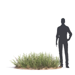 Archmodels vol 276 for 3dsmax - desert plants