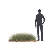 Archmodels vol 276 for 3dsmax - desert plants