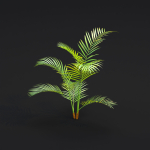 Areca palm collection vol 256-3dsmax-Blender