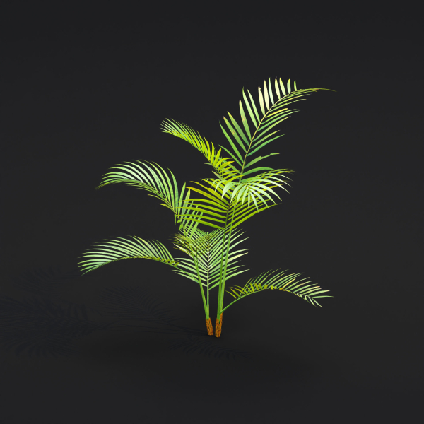 Areca palm collection vol 256-3dsmax-Blender