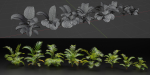 Areca palm collection vol 256-3dsmax-Blender