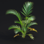 Areca palm collection vol 256-3dsmax-Blender