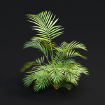 Areca palm collection vol 256-3dsmax-Blender