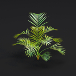 Areca palm collection vol 256-3dsmax-Blender