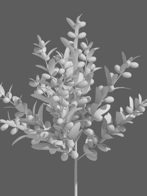 argan-plant-3d-model-a2442eef1b
