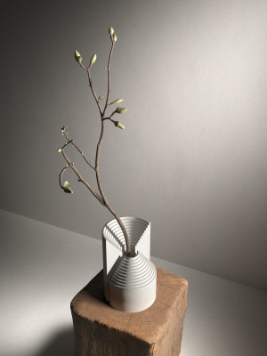 ark-vase-with-magnolia-3d-model-bfe4afda0e