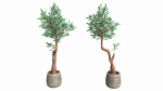 Artificial Olive Tree with plantpot