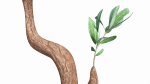 Artificial Olive Tree with plantpot