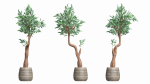 Artificial Olive Tree with plantpot