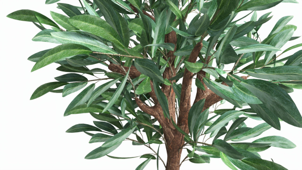 Artificial Olive Tree with plantpot