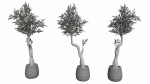 Artificial Olive Tree with plantpot