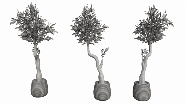 Artificial Olive Tree with plantpot
