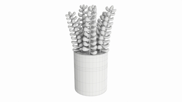 Artificial Sedum Lucidum Plant in Ceramic Pot
