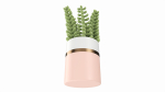 Artificial Sedum Lucidum Plant in Ceramic Pot