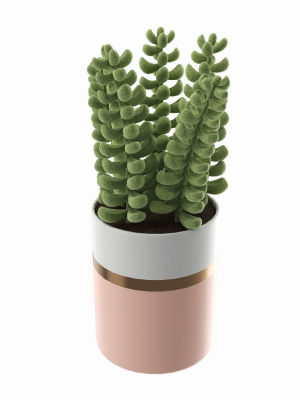 artificial-sedum-lucidum-plant-in-ceramic-pot-3d-model-738032fcab