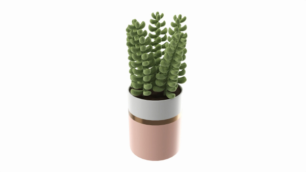 Artificial Sedum Lucidum Plant in Ceramic Pot