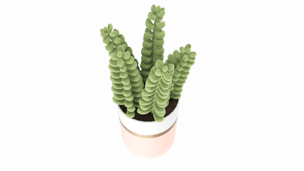 Artificial Sedum Lucidum Plant in Ceramic Pot