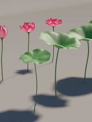 asia-lotus-3d-model-3d-model-low-poly-obj-3ds-fbx-blend