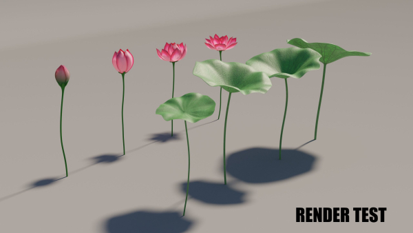 Asia Lotus 3D model