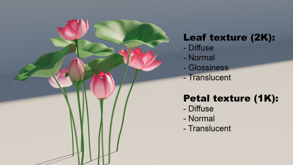 Asia Lotus 3D model