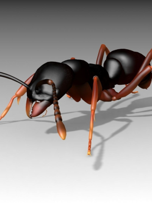 asian-needle-ant-3d-model-aa05daa808
