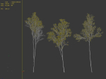 Aspen trees set 03