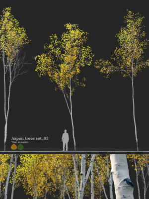 Aspen trees set 03