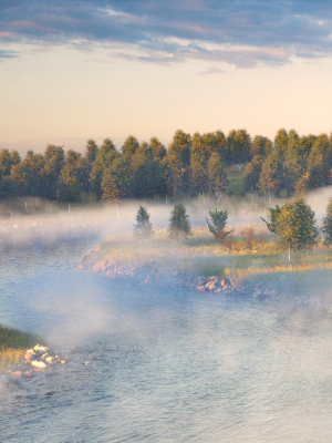 assembled-scene-morning-on-the-river-3d-model-max-fbx