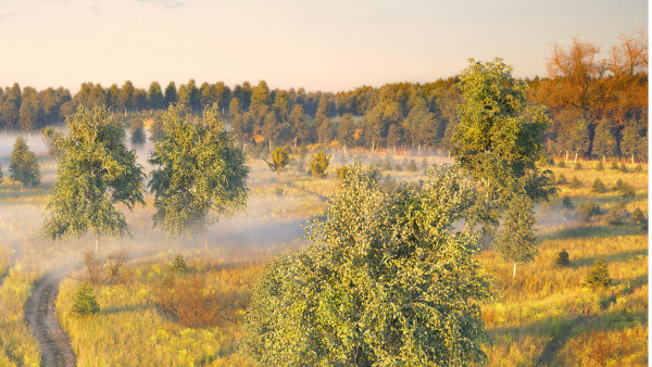 Assembled scene - Morning on the river