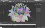 Aster lotus flower