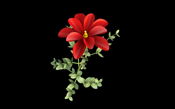 Aster flower