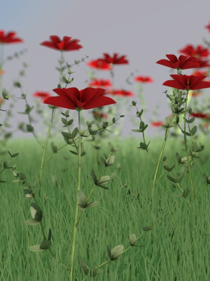 aster-flower-3d-model-ff923bc2b9
