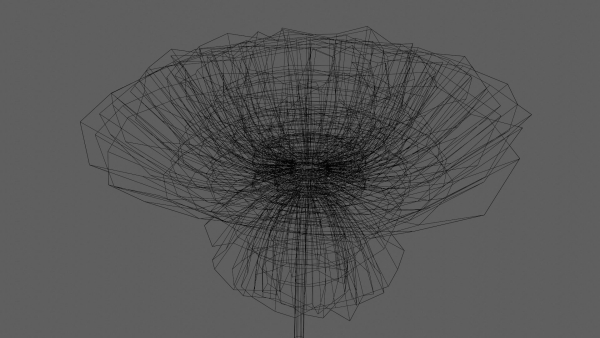 Aster Flower - Low Poly
