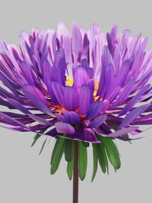 aster-flower-low-poly-3d-model-7780bf6fc7