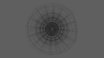 Aster Flower - Low Poly