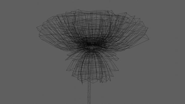 Aster Flower - Low Poly