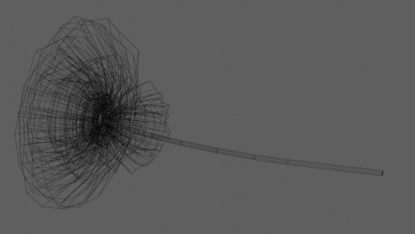 Aster Flower - Low Poly