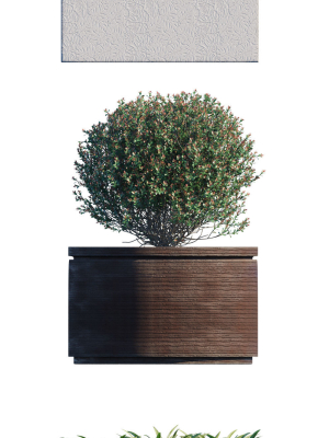 atelier-vierkant-plants-model-3d-model-8651b13227