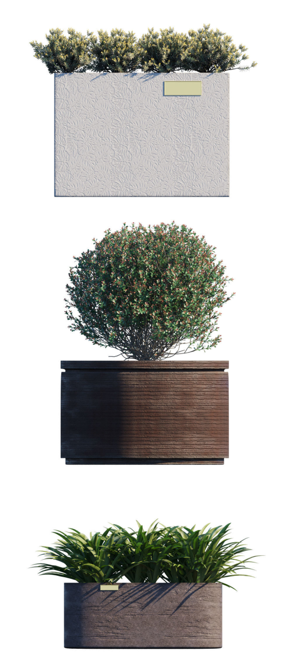 Atelier Vierkant - Plants Model