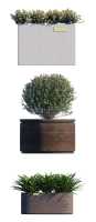 Atelier Vierkant - Plants Model