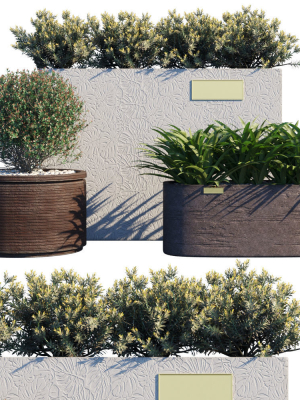 Atelier Vierkant - Plants Model