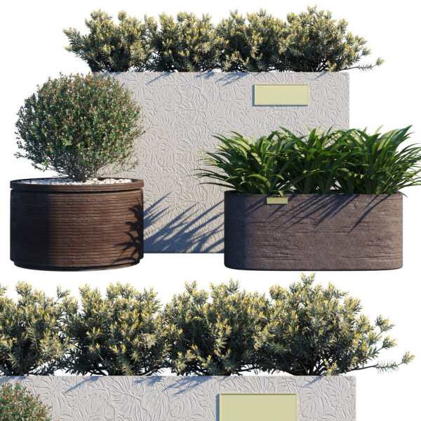 Atelier Vierkant - Plants Model