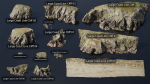 Atlantic Ocean Cliff Coast Line Scan PBR