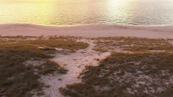 Atlantic Ocean Cliff Coast Line Scan PBR