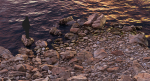 Atlantic Ocean Cliff Coast Line Scan PBR