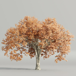 Autumn Maple Trees Collection vol 147-Blender