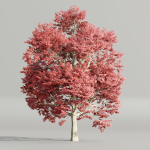Autumn Maple Trees Collection vol 147-Blender