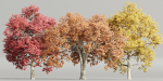 Autumn Maple Trees Collection vol 147-Blender