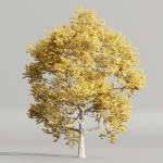 Autumn Maple Trees Collection vol 147-Blender